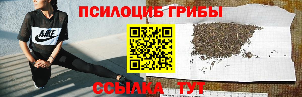 Псилоцибиновые грибы прущие грибы Чехов
